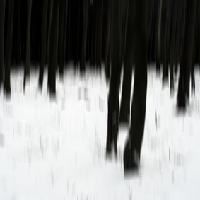 Winterwald